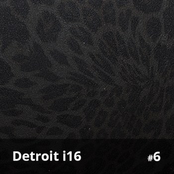Detroit i16 6